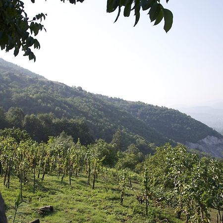 Fattoria Alvaneta Padula Exterior photo