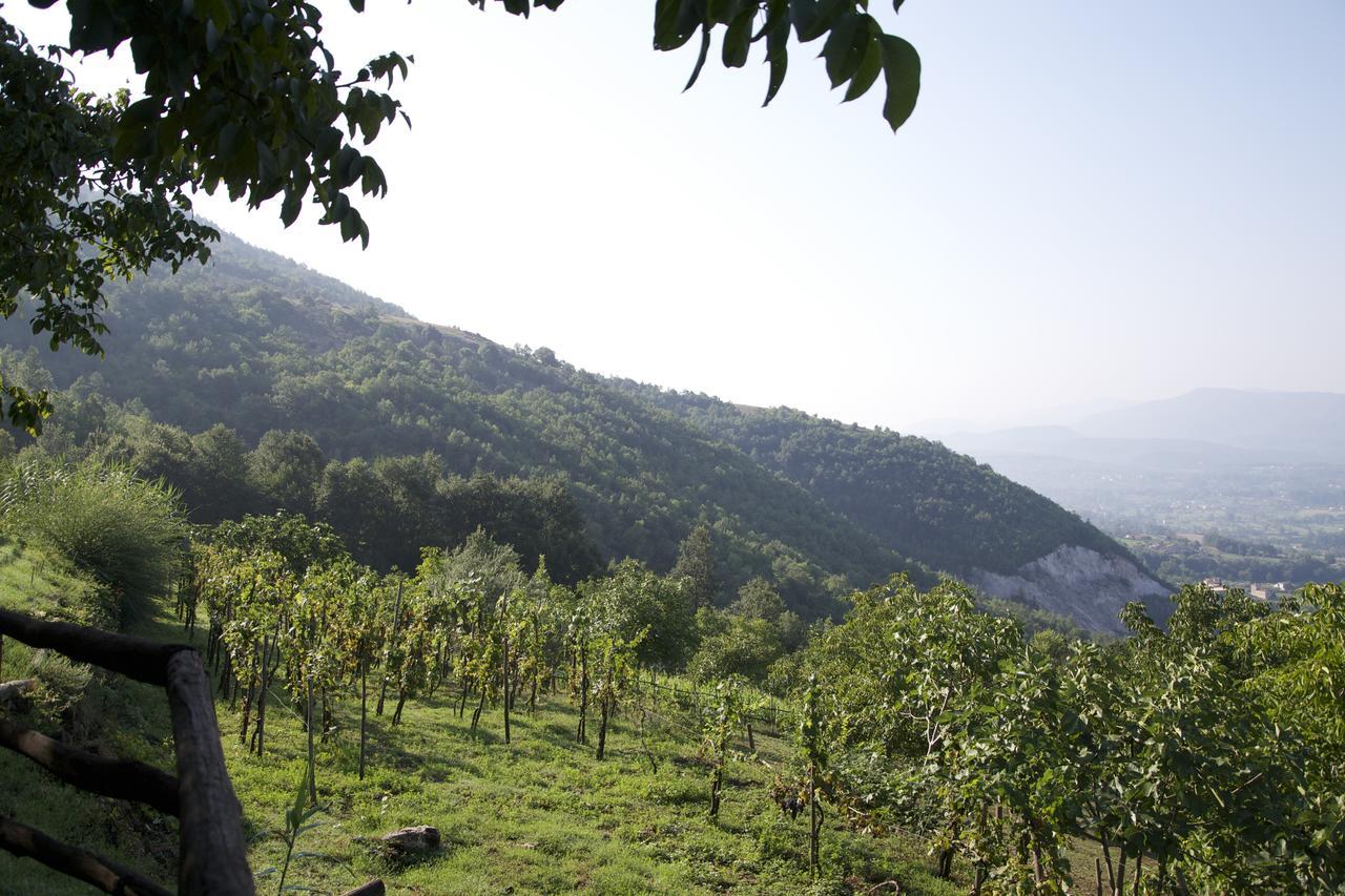 Fattoria Alvaneta Padula Exterior photo