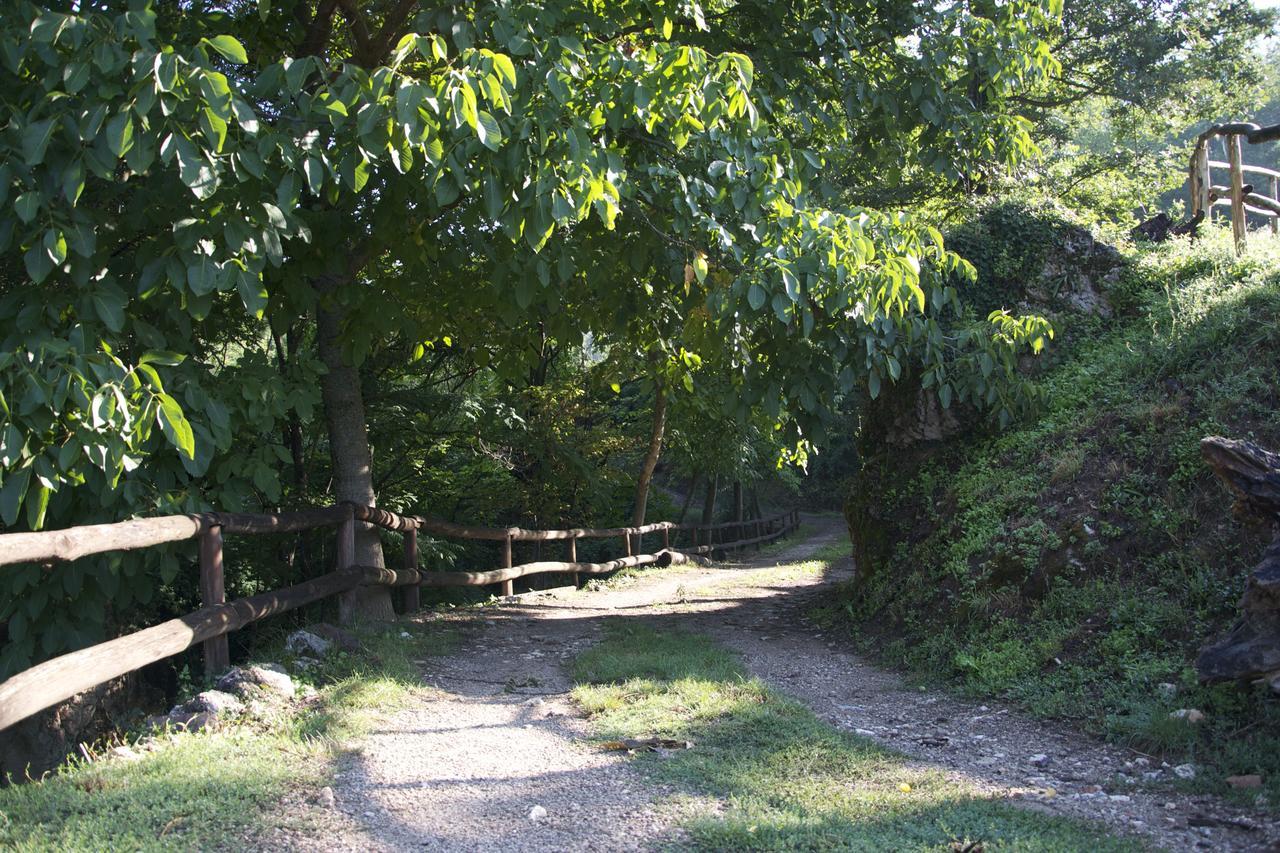 Fattoria Alvaneta Padula Exterior photo