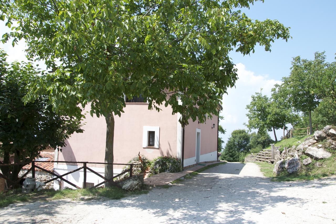 Fattoria Alvaneta Padula Exterior photo